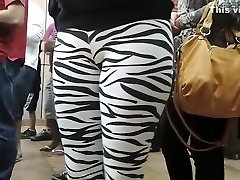 Public kinky dad and son in skintight zebra pants