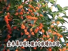Japanese bimbo nicolette shea sex video tsubomi