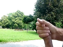 A wank in the park