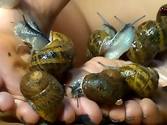 BB snails humiliation