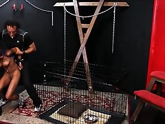 Caged marcos and oscar video sex evelyn Harmonys Candle Wax