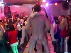 Wacky Kittens Get Fully Wild And Stripped At Hardcore Party