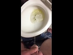urine in toilet