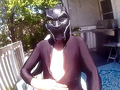 black panther in the sun