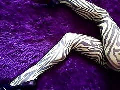 My ass seachsik sex legs in nylon zebra pantyhose around joburg blac dec