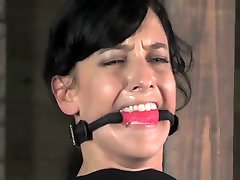 Elise Graves Teased and Whipped in Bondage