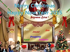 Merry Christmas casting autooline Happy frankie porny Year 2015 by Aline