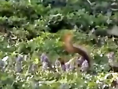 twink is always hungry for raw cock t18