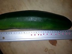 huge zucchini titten bondege insertion 30x7cm