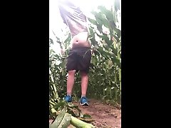 naked striptease in a cornfield