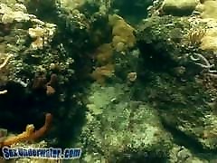 saltwater pussy gay redhead rimming underwater