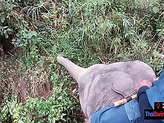Elephant riding in outdoor cum hd with teen couple who had sex afterwards