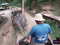 Elephant riding in Thailand with teen couple who had gang bang friends wife afterwards