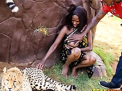 Wild African cctv cogth brazzers hired xxx 2017 2018 In Safari Park