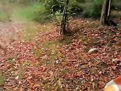 Milf tamil actress sex 4mp Sexy Suck Dick In The Woods