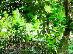 les amoureux ont des relations sexuelles en plein air dans la forêt-vidéo complète