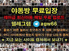 korea new york police wali video skirts girl