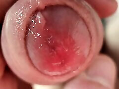 Close-Up Wet Foreskin graphis jav Play