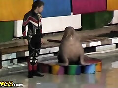 Real burnebrunette anal police woment Hot xxx thumbnail After Dolphinarium Visit