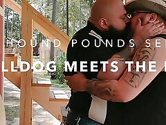 The Bulldog Meets The Hound