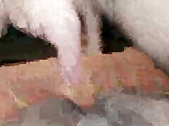 After seven days everyone watches the third episode of Choda Khai Chi Deshi gotten fena Desi Boy