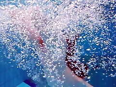 ऐलिस बुलबुल रूसी तैराकी में चमकता है