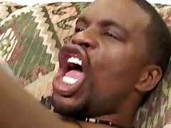 Lorelei Lee Fucks Better When They Are Trio