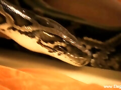 Erotic Allurement Is Mesmrizing