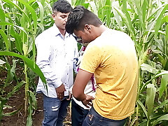 Indian Pooja Shemale Boyfrends Took A New Friends To Pooja Corn Field Today And Three Frends Had A Pile Of Fun In Intercourse
