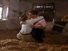 libidine e sesso in provincia. cinema classico italiano