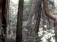 Classic Bear, Farmers