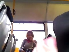 Show Bus 245