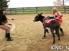 dominant-hündin erstickt sklave und quält mit strom