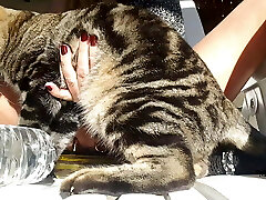 nippleringlover &ndash; horny milf is bare outdoors, fucking bottle, pierced vag, big nipple rings in extremely pierced nipp