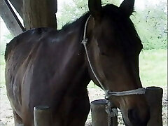 Storie Italiane di Puledre e Stalloni - Sequence 1