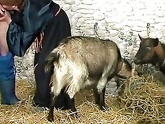 Vintage Retro German Amateur your Daily Dosage of Porn