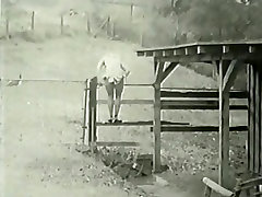 Сохранять Спокойствие И Доверие Сантехник
