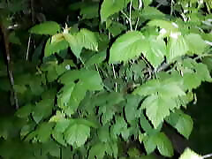I masturbate in a public telugu is exe versos at night - Lesbian-candys