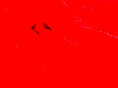 video completo sala rossa