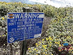 Exploring the beach on this date with Serena Hill, blowjob, and fucking her deep in public.