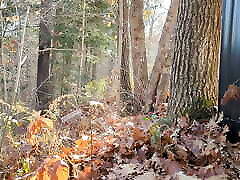 a beautiful pee out back