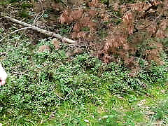 Completely naked through the woods while slapping her breasts