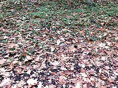 Walking naked through the woods after her vagina slapping