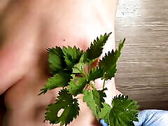 Nettle punishment on her naked tits