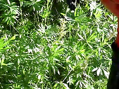 女性主导湿和凌乱的羞辱！ 艾莉亚格兰德