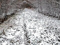снимаю куртку в зимнем лесу, а сиськи красные