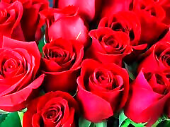 Bangla choto golpo Bangla choti golpo full story in Bangla audio story