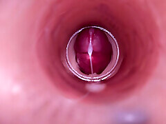 Female Insemination - Internal bigti japanes Captures Deep Male Ejaculation