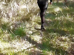 high heels und spaziergänge im wald