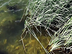 Sex on Lake for ANYONE to See!
